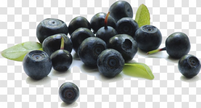 Olive Tree - Superfruit - Chokeberry Blueberry Transparent PNG