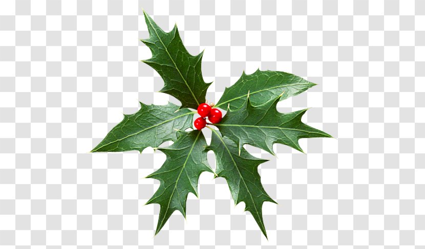 Christmas Advent Calendars Wreath Alchemy Transparent PNG
