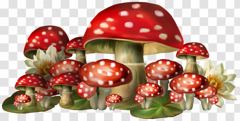 Common Mushroom - Frutti Di Bosco Transparent PNG