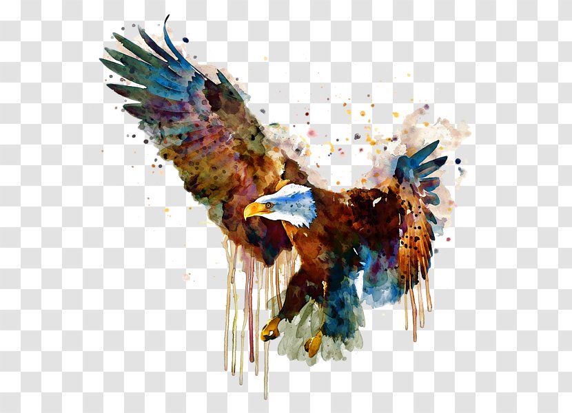 Bald Eagle Watercolor Painting Bird - Golden Transparent PNG