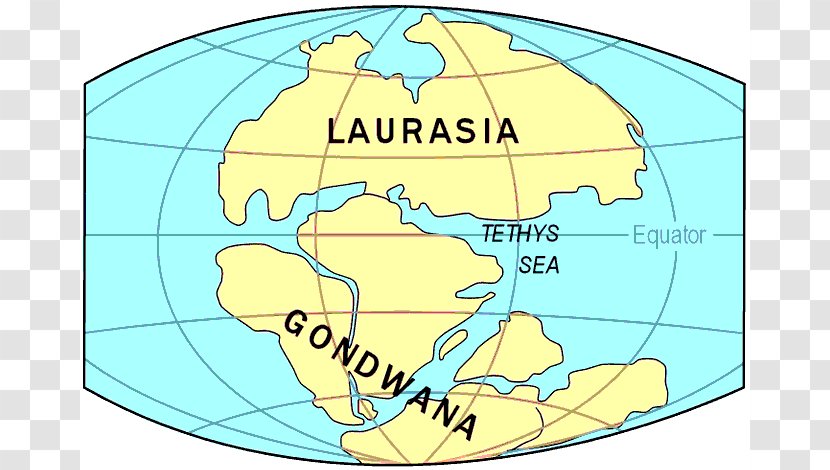 Laurasia Gondwana Supercontinent Pangaea Paleozoic - Cartoon - Marine Museum Transparent PNG