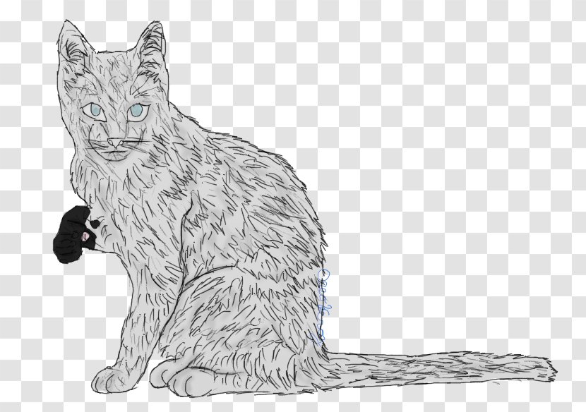 Whiskers Wildcat Domestic Short-haired Cat Tabby - Small To Medium Sized Cats Transparent PNG