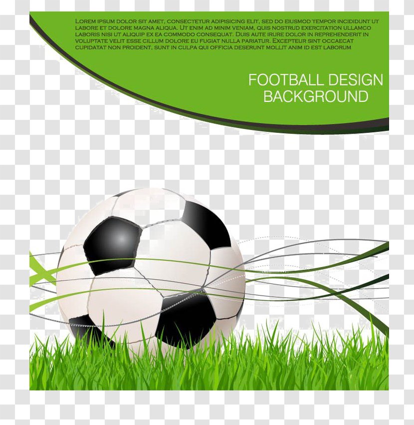FIFA World Cup Football Sport - Ball - In The Grass Transparent PNG