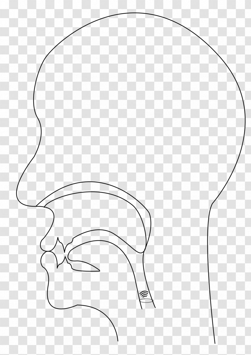 Ear Line Art Drawing /m/02csf Clip - Frame Transparent PNG