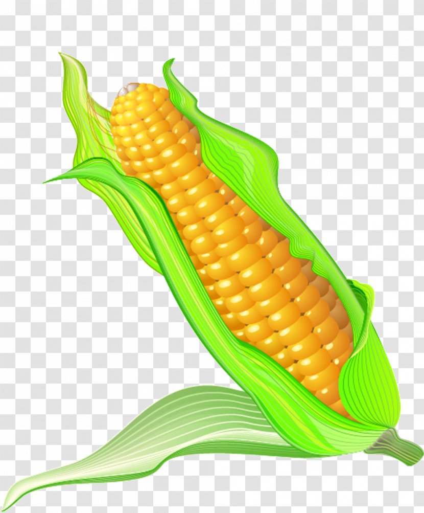 Corn On The Cob Maize Cartoon - Commodity Transparent PNG