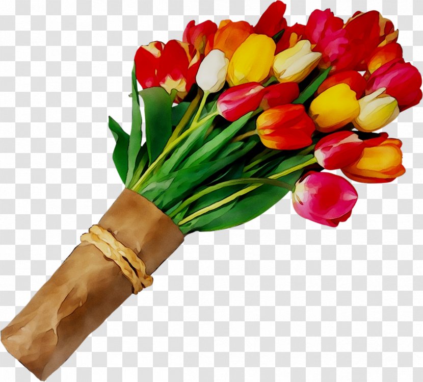 Cut Flowers Tulip Diary Odnoklassniki - Flower - Plant Transparent PNG