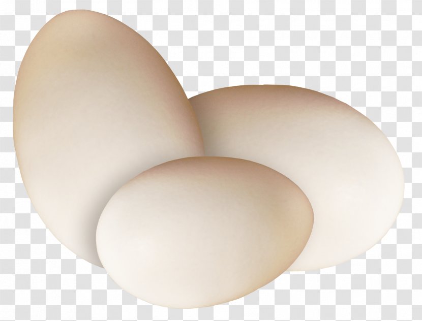 Egg Lighting - Beautiful Brown Transparent PNG