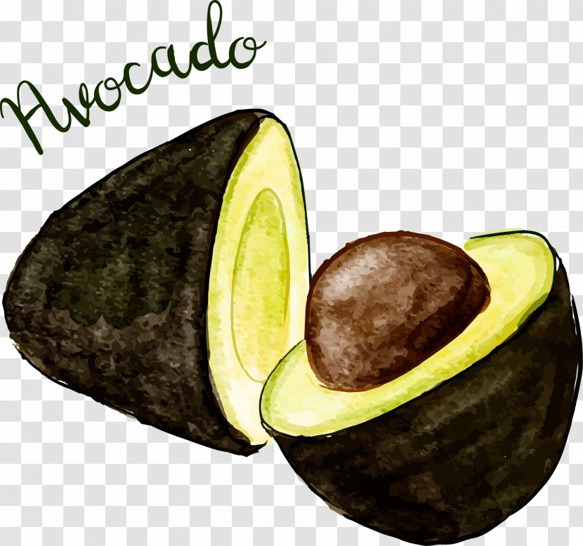 Avocado Skirt Euclidean Vector - Lime - Hand Painted Pork Fruit Transparent PNG