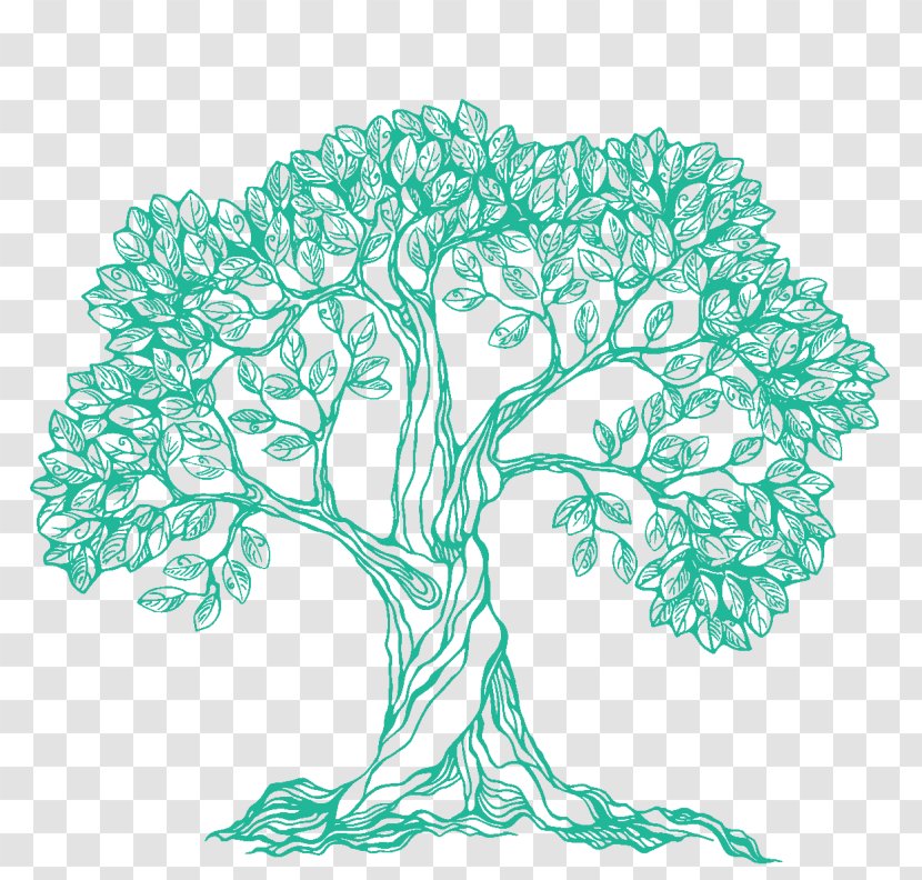 Branch Drawing Tree - Area Transparent PNG
