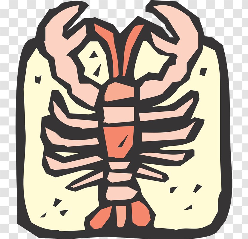 Clip Art - Organism - Mol Transparent PNG