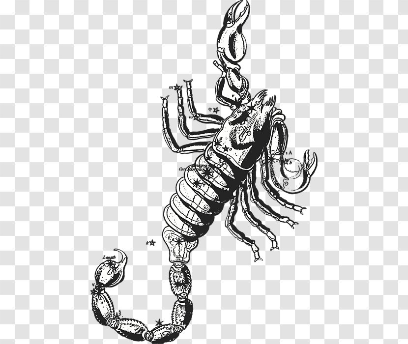 Scorpio Scorpius Constellation Astrological Sign Zodiac - Body Jewelry Transparent PNG