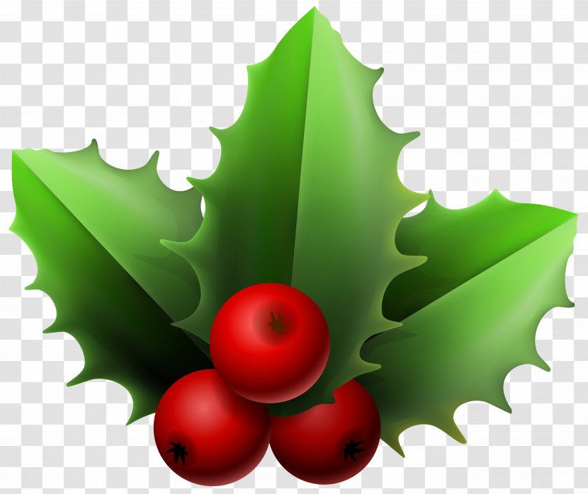 Mistletoe Clip Art - Common Holly - Christmas Clipart Image Transparent PNG