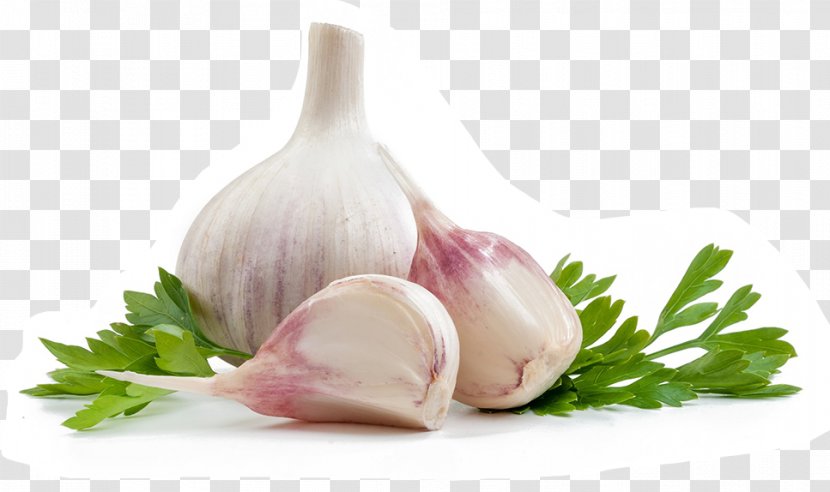 Garlic Food Dietary Supplement Vegetarian Cuisine Health - Onion Transparent PNG