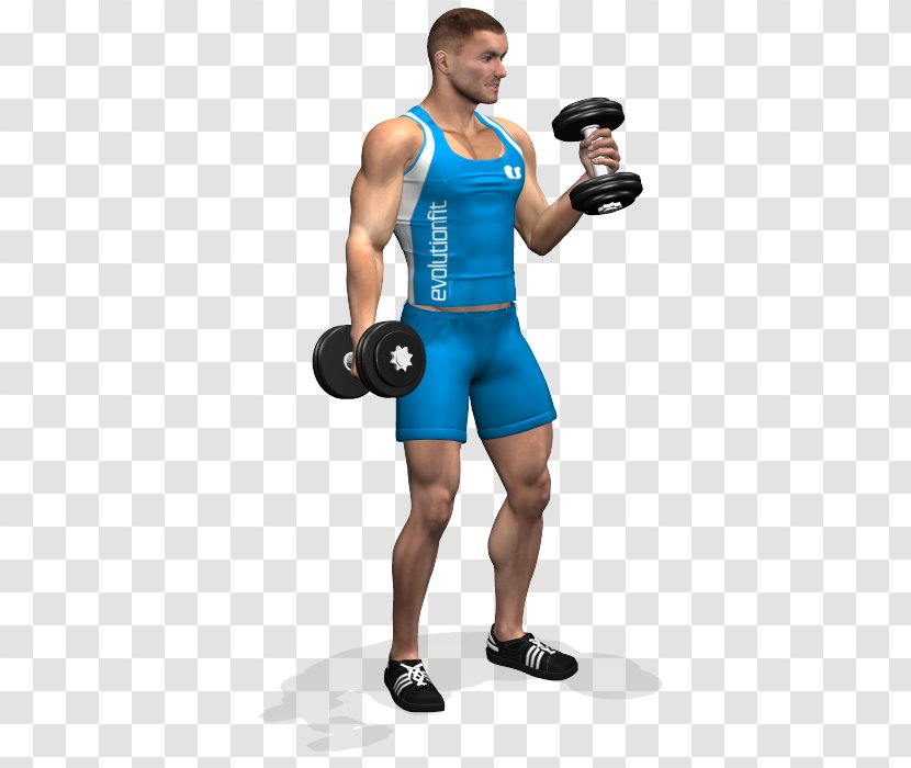 Weight Training Biceps Curl Dumbbell Exercise - Heart Transparent PNG