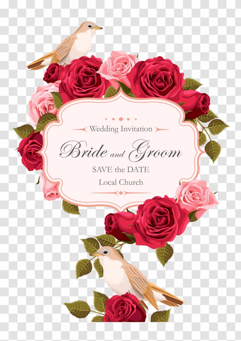 Wedding Invitation Rose Euclidean Vector - Painted Birds Transparent PNG