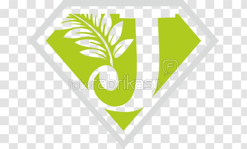 Logo Illustration Brand Font Leaf Transparent PNG