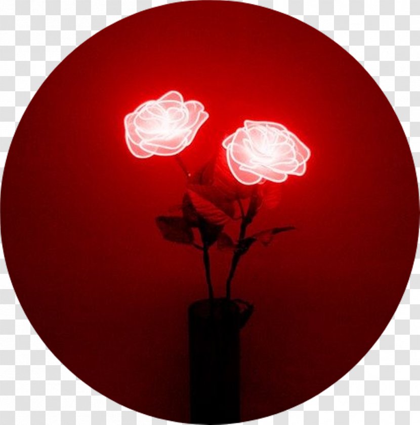 Neon Lighting Red Sign - Lamp - Aesthetic Rose Tumblr Transparent PNG