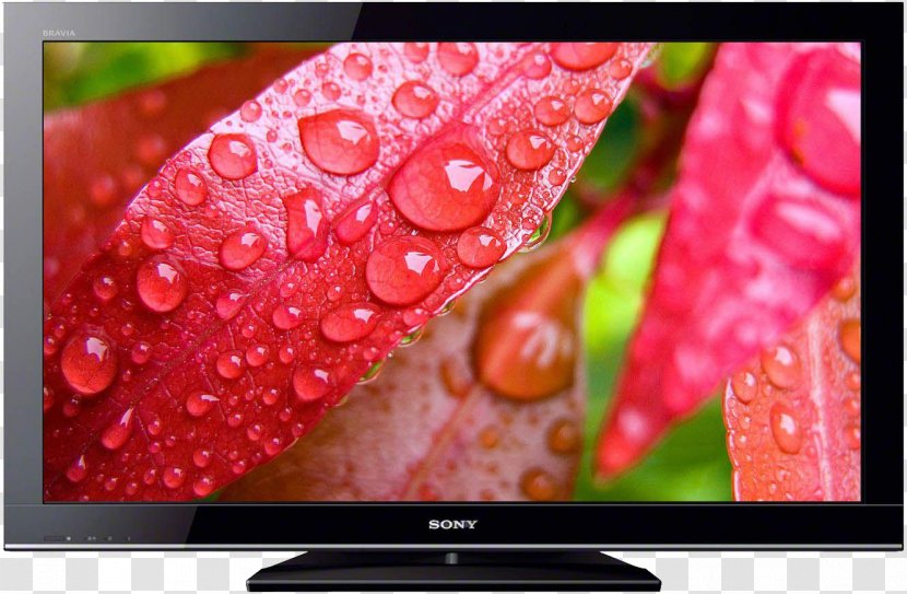Bubble Leaf Drop Water Wallpaper - Highdefinition Television - Ultra HD 4K High-definition LCD TV Screen Transparent PNG