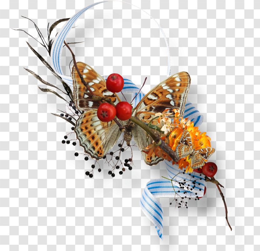 Butterfly Image Photography Autumn - Ornament Transparent PNG