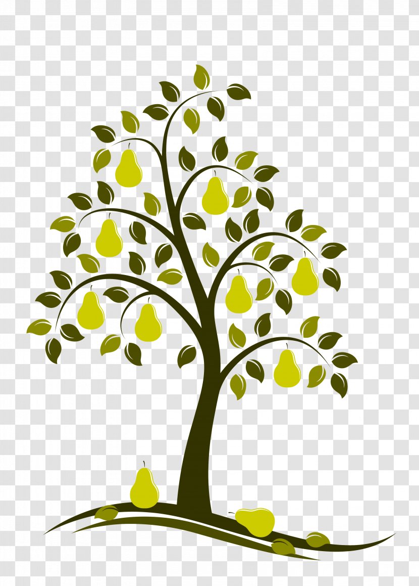 Their Eyes Were Watching God Pear Tree Drawing - Twig - Beauty Parlor Transparent PNG