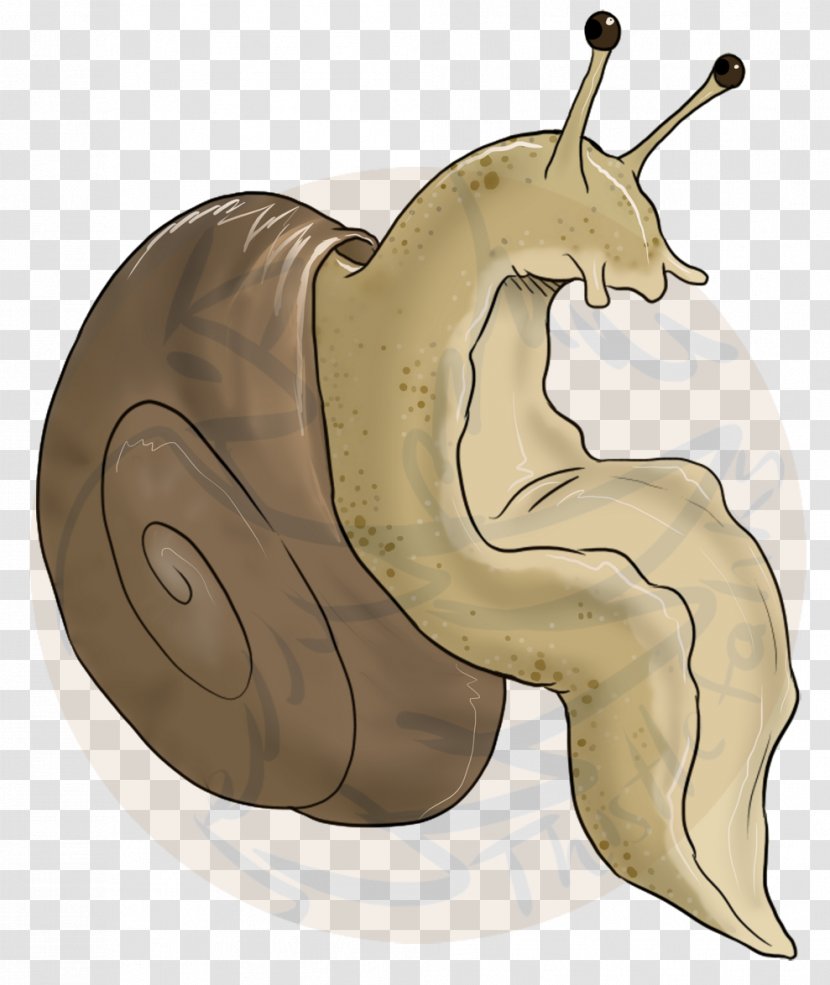 Snail Cartoon - Slug - Fictional Character Molluscs Transparent PNG