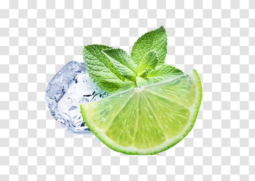 Juice Lemonade Mint Lemon Beebalm - Fruit - Ice Transparent PNG