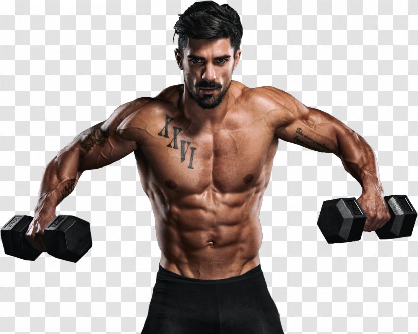 Bodybuilding Image Video Physical Fitness Muscle - Heart - Herbal Male Enhancements Do Work Transparent PNG