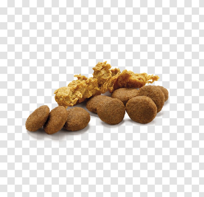 Food Ingredient Peanut Nut Plant - Macadamia Walnut Transparent PNG