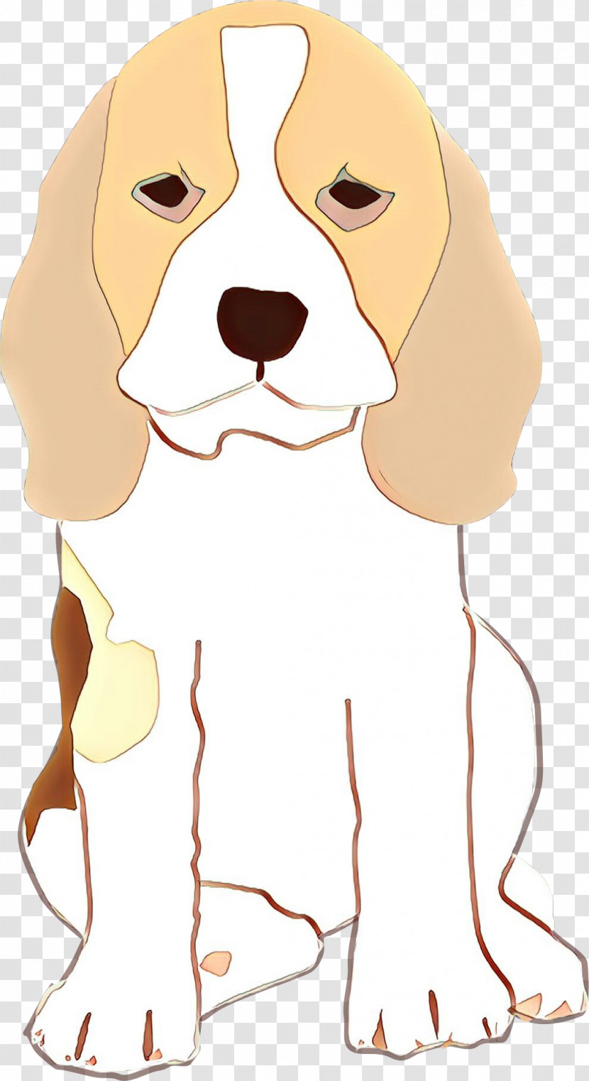 Dog Nose Beagle Snout Sporting Group Transparent PNG