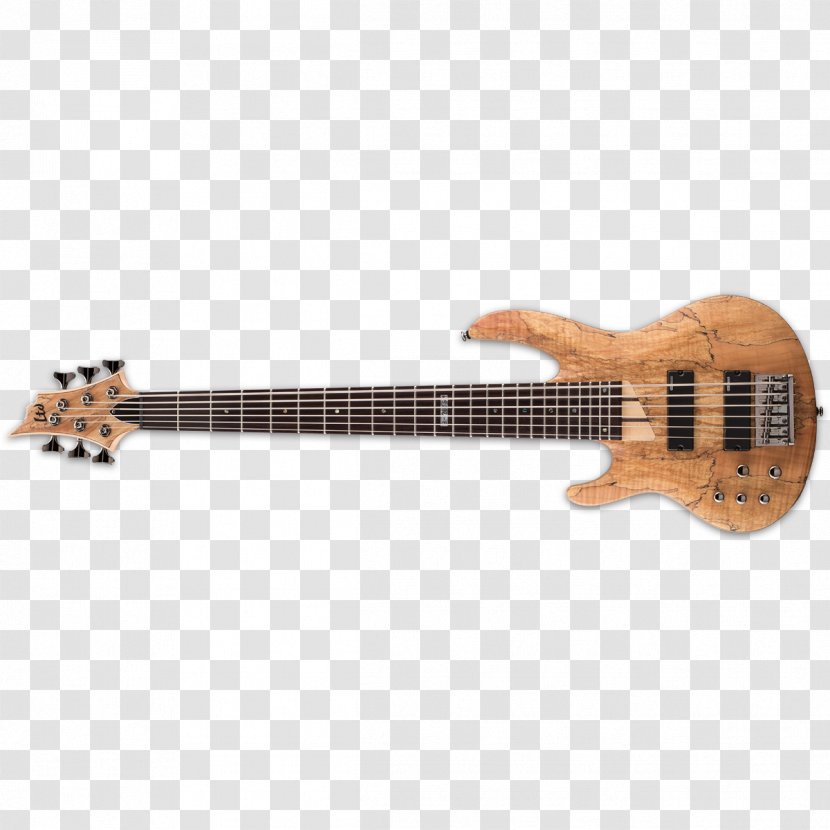 5 String Bass Ibanez SR505 Electric Guitar - Cartoon Transparent PNG