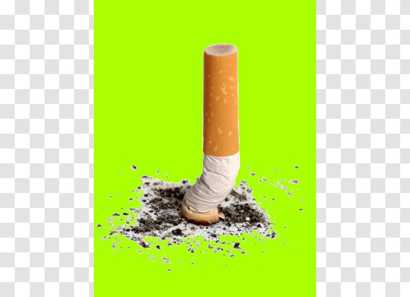 Menthol Cigarette Tobacco Smoking - Tree Transparent PNG
