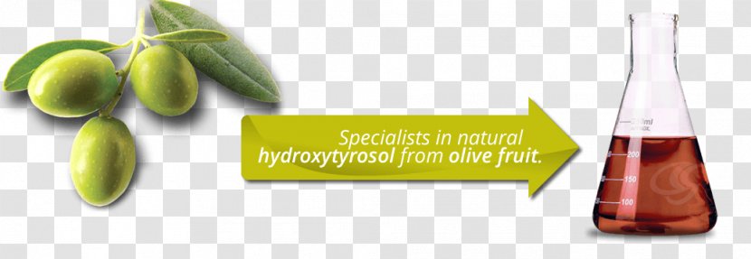 Olive Oil Hydroxytyrosol Oxygen Radical Absorbance Capacity Food - Herbalism Transparent PNG