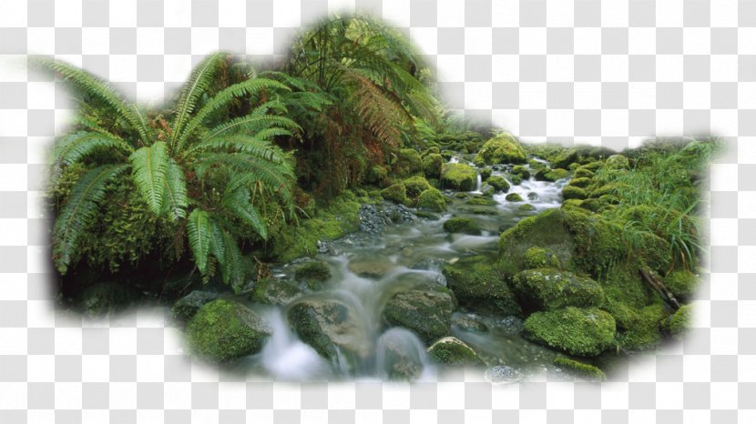 DeviantArt - Grass - Waterfall Transparent PNG