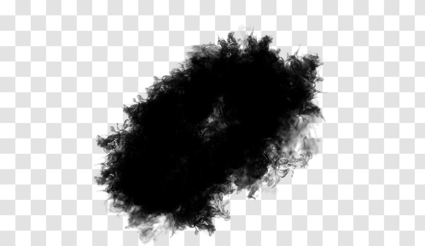 Hair Black Fur Eyelash - Blackandwhite Feather Boa Transparent PNG