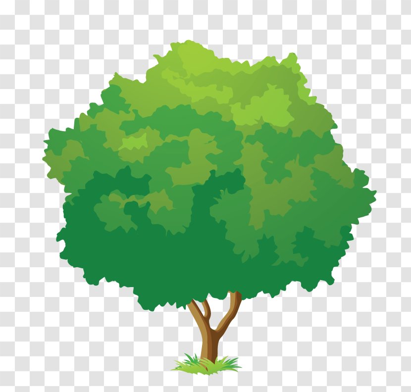 Tree Green Clip Art - Grass Transparent PNG