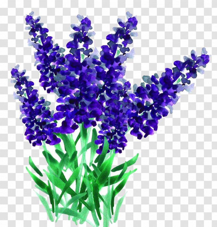 Lavender - Color - Creative Hand-painted Cartoon Bouquet Of Transparent PNG