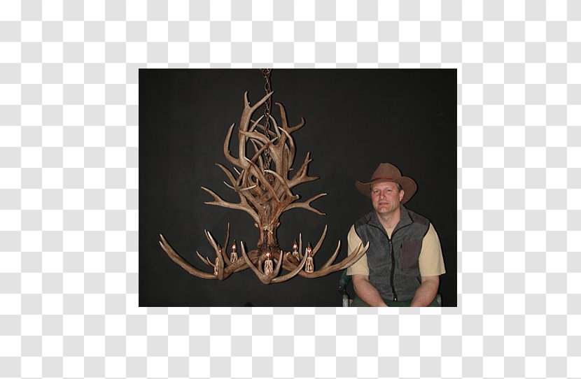Mule Deer Antlers By Cody Chandelier - Antler Transparent PNG