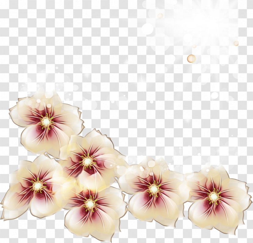Flower Petal Plant Pink Blossom - Flowering - Mallow Family Hibiscus Transparent PNG