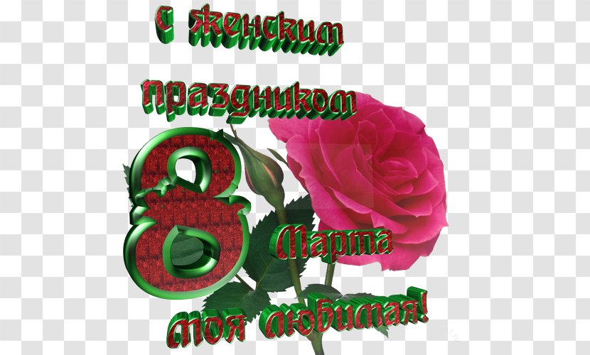 Garden Roses Odnoklassniki Text Holiday 8 March - Blog - Pink Transparent PNG