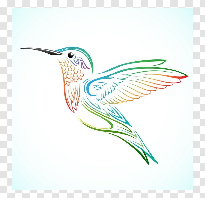 Hummingbird Tattoo Drawing - Beak - Bird Transparent PNG