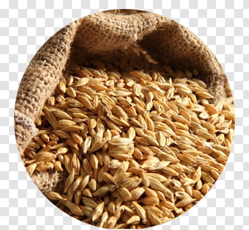 Barley Water Scotch Whisky Food Bread - Cereal Germ Transparent PNG
