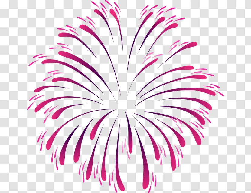 Fireworks - Magenta - Cool Transparent PNG