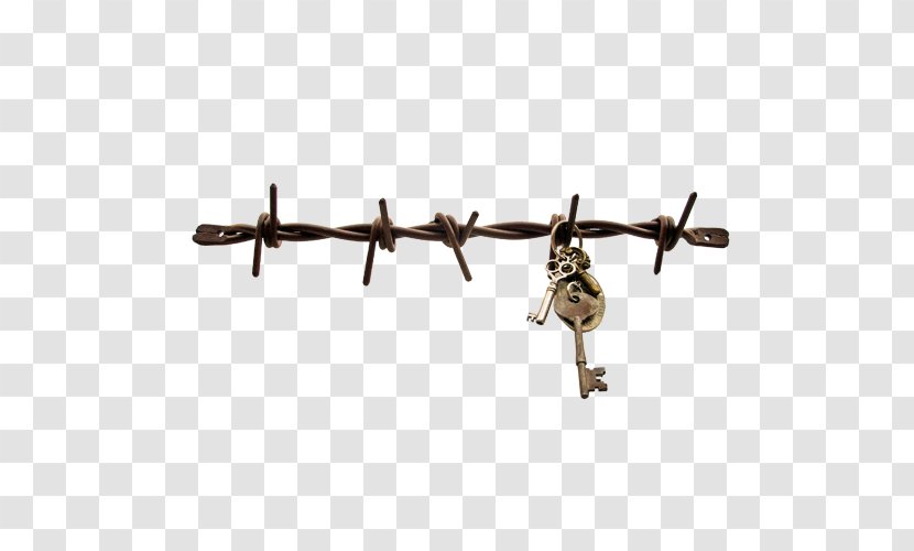 Barbed Wire Fence Wall Electricity - Jewellery - Jewelry Stand Transparent PNG