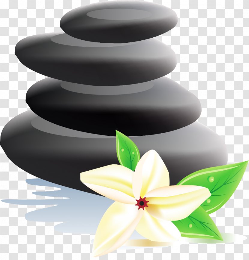 Royalty-free Spa Clip Art - Stock Photography - Flower Transparent PNG