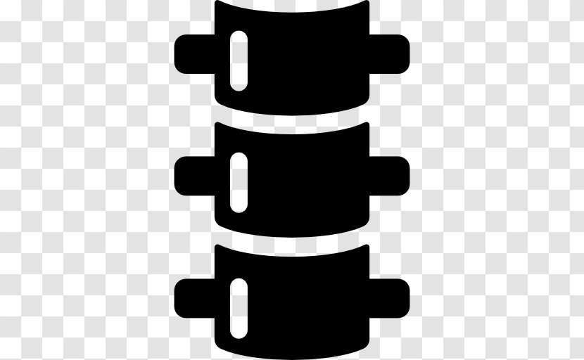 Medicine Vertebral Column Physical Therapy Physician - Health Care Transparent PNG