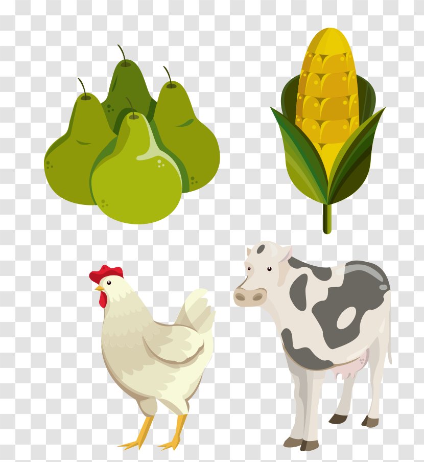 Rooster Clip Art Image Illustration Chicken - Bauernhof - Backware Ornament Transparent PNG