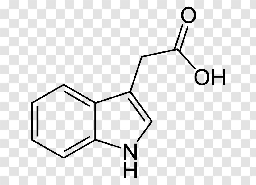 Indole-3-acetic Acid Indole-3-butyric Auxin - Black Transparent PNG