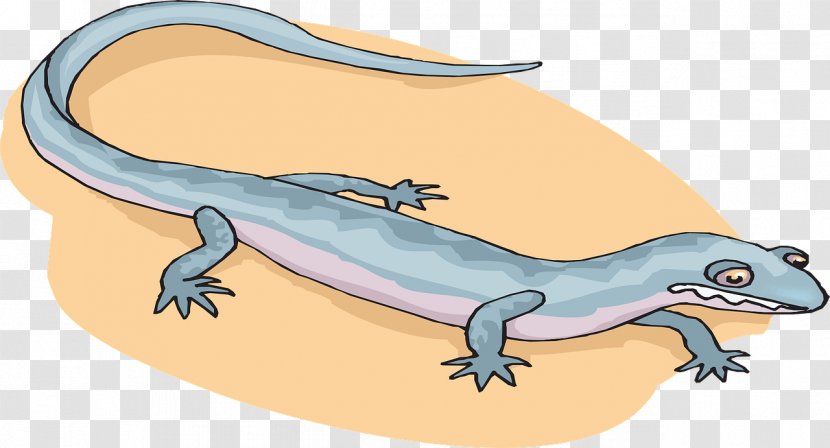 Salamander Cartoon Newt Clip Art Transparent PNG