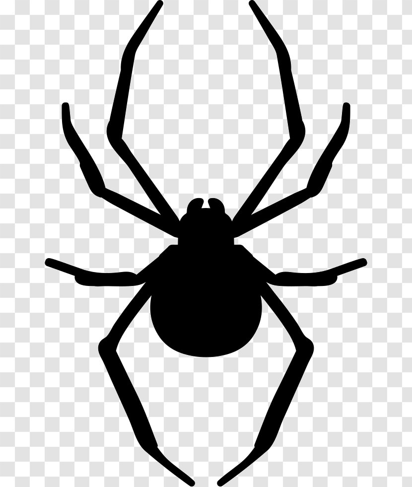 Stencil Spider Art - Text Transparent PNG