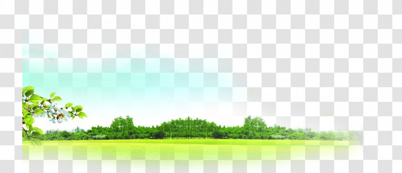 Lawn Land Lot Grassland Sky Wallpaper - Sunlight - Fresh Spring Grass Transparent PNG